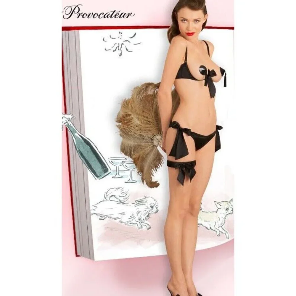 Agent Provocateur Marylin Black Silk Brief Small NWT - Picture 4 of 10